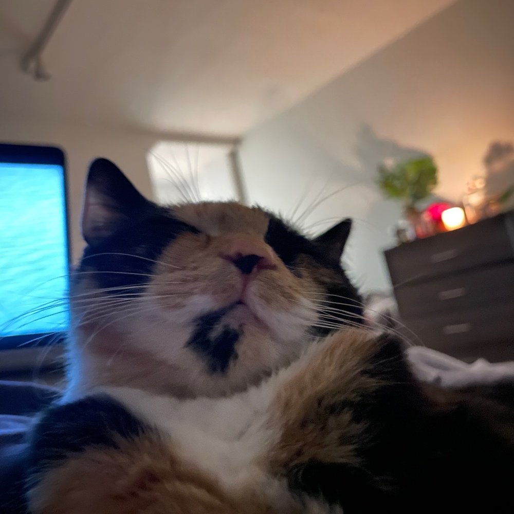 Meet your Posher, Cait